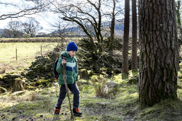Junge erkundet Nationalpark, Llanaber, Gwynedd, Vereinigtes Königreich - CUF53079
