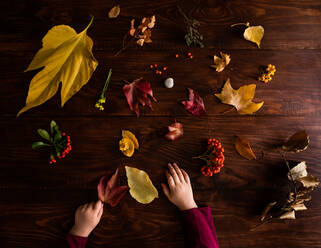 Sammlung von Herbst Herbstblätter auf Holztisch mit Kinderhänden - CAVF66841