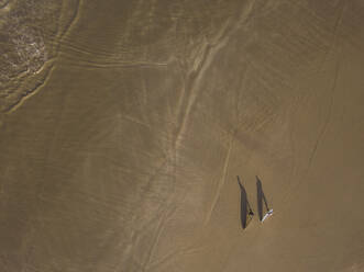 Luftaufnahme von Surfern am Strand - CAVF66857