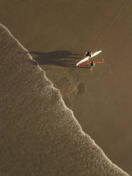 Aerial view of surfers at the beach - CAVF66862