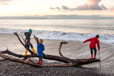 Three siblings climbing on driftwood at beach - CAVF66898