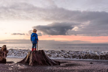 Lockenköpfiger Junge steht auf einem Baumstumpf am Strand - CAVF66901
