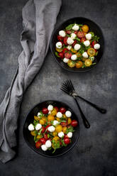 Draufsicht auf einen Salat mit Rucola, Mozzarella, Kirschtomaten und Basilikum - LVF08405