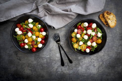 Draufsicht auf einen Salat mit Rucola, Mozzarella, Kirschtomaten und Basilikum - LVF08406