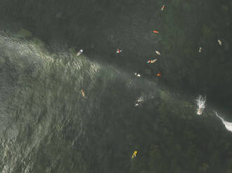 Aerial view of surfers - CAVF66996