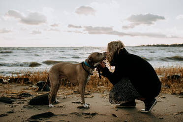 Frau küsst ihren Hund am Strand im Winter - CAVF67034