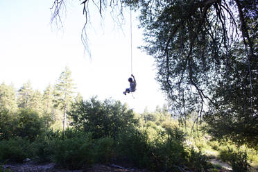 Junge schwingt auf Seilschaukel im Wald gegen klaren Himmel - CAVF67164