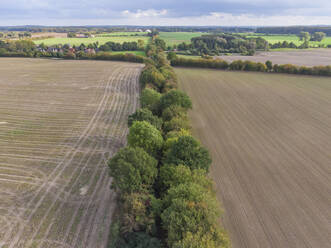 Luftaufnahme einer Baumreihe und einiger Felder in einer deutschen Landschaft - CAVF67275