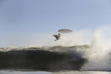Surfer auf einer Welle - CAVF67343