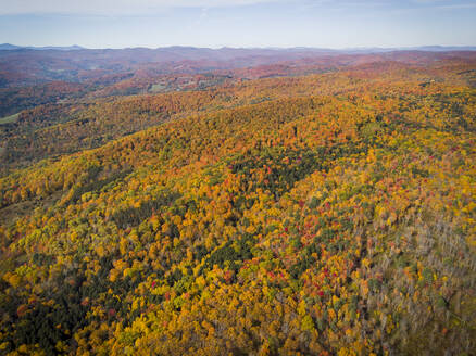 Herbstlaub aus der Vogelperspektive in der Nähe von Quechee, Vermont. - CAVF67380