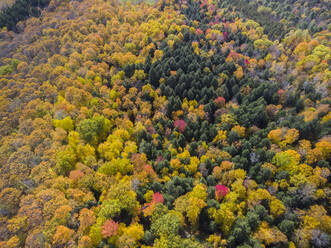 Dramatisches Herbstlaub in der Nähe von Quechee, Vermont, aus der Luft gesehen. - CAVF67382