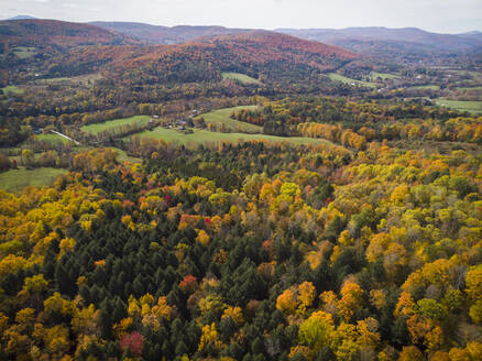 Herbstlaub aus der Vogelperspektive in der Nähe von Quechee, Vermont. - CAVF67386