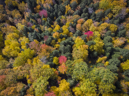 Herbstlaub aus der Vogelperspektive in der Nähe von Quechee, Vermont. - CAVF67387