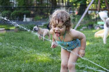 Verspieltes Mädchen streckt die Zunge heraus bei einem Sprinkler im Garten mit einem Hund im Hintergrund - CAVF67551