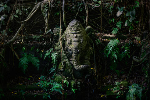 Ganesh-Statue, bedeckt mit Moos und Farnen in Bali - CAVF67579