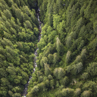 Luftaufnahme eines Flusses, der durch einen dichten Wald fließt. - CAVF67604