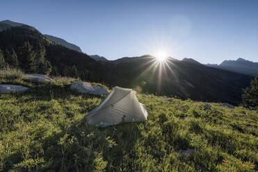 Scenic view of tent on field against clear sky on sunny day - CAVF67654