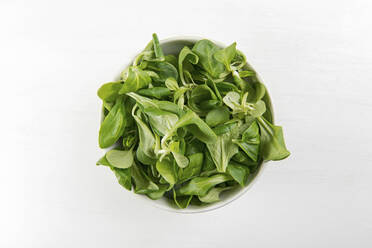 Overhead view of lamb lettuce in bowl against white background - CAVF67693