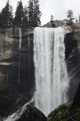 Aussicht auf die Yosemite Falls - CAVF67709