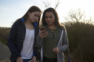 Freundinnen schauen auf ihr Smartphone, während sie auf einem Feld stehen - CAVF67719