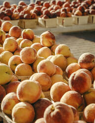 Äpfel in der Kiste am Marktstand - CAVF67784