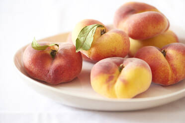 Close-up of peaches in plate over white background - CAVF67839