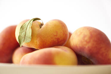 Close-up of peaches against white background - CAVF67842