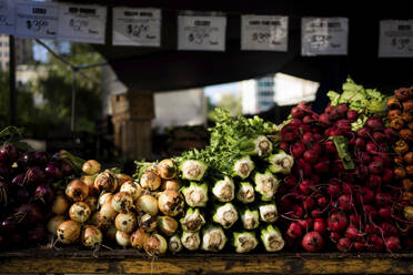 Gemüse auf einem Marktstand zum Verkauf - CAVF67858