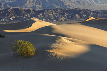 Aussicht auf Sanddünen und Berge im Death Valley National Park - CAVF67870