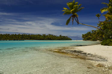 Scenic view of beach by coconut palm trees against cloudy sky - CAVF67871