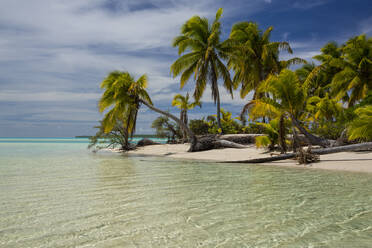 Idyllischer Blick auf den Strand mit Kokospalmen vor bewölktem Himmel - CAVF67872