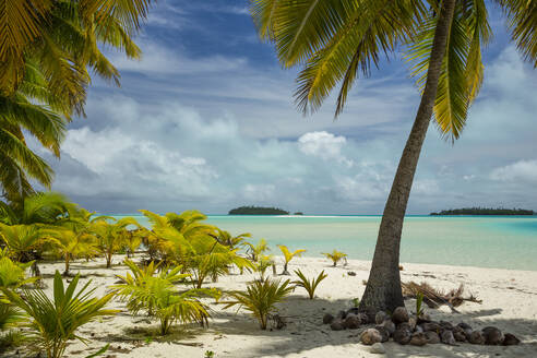 Coconut palm trees at beach against cloudy sky - CAVF67873