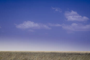 Scenic view of field against sky at Serengeti National Park - CAVF67987
