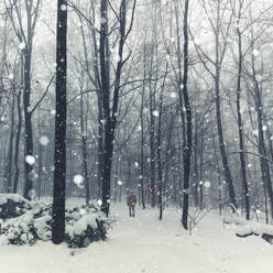 Deutschland, Nordrhein-Westfalen, Wuppertal, Einsamer Wanderer in verschneitem Wald bei Schneefall - DWIF01062