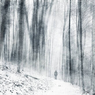 Deutschland, Nordrhein-Westfalen, Wuppertal, Einsamer Wanderer in verschneitem Wald bei Schneefall - DWIF01069