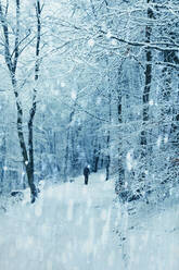 Deutschland, Nordrhein-Westfalen, Wuppertal, Einsamer Wanderer in verschneitem Wald bei Schneefall - DWIF01070