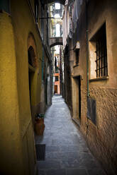 Narrow alley in Vernazza, Cinque Terre, Italy - GIOF07376