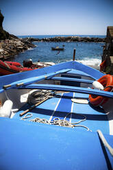 Boot an der Küste, Manarola, Ligurien, Cinque Terre, Italien - GIOF07399