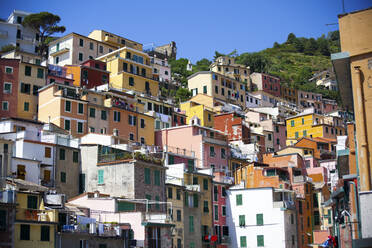 Stadtbild von Manarola, Ligurien, Cinque Terre, Italien - GIOF07400