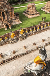 Antike Ruinen und Buddha-Statuen, Ayutthaya, Thailand - GIOF07406