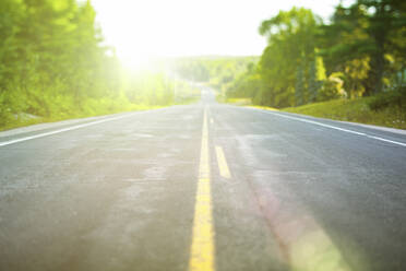 Leere Straße im Gegenlicht, Algonquin Provincial Park, Ontario, Kanada - GIOF07429