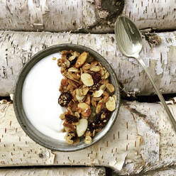 Overhead view of granola served in plate with spoon on log - CAVF68168