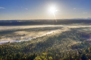 Deutschland, Bayern, Oberbayern, Naturschutzgebiet Isarauen, Luftaufnahme der Isar bei Sonnenaufgang - SIEF09262