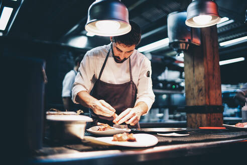Cook serving food on a plate in the kitchen of a restaurant - OCMF00855