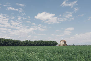 Cappella Nicolaus Braida gegen den Himmel mit grasbewachsenem Feld im Vordergrund - CAVF68187