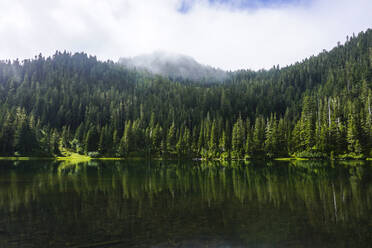 Trees reflecting on calm lake in forest - CAVF68190