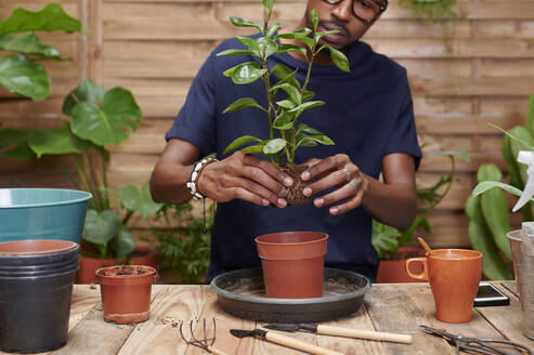 Junger Mann beim Umtopfen einer Pflanze auf seiner Terrasse - IGGF01380
