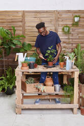 Young man repotting a plant on his terrace - IGGF01382