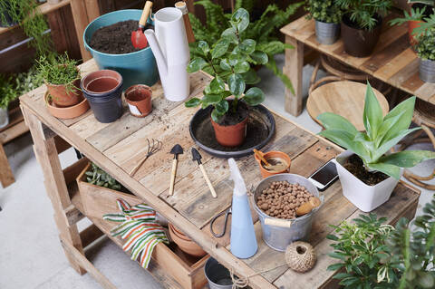 Holztisch mit Topfpflanzen und Gartengeräten auf einer Terrasse, lizenzfreies Stockfoto
