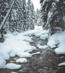 Bach inmitten von schneebedeckten Felsen im Wald - CAVF68243